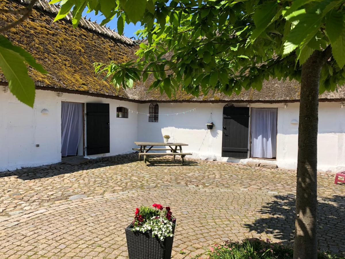 Bed and Breakfast Stragarden Nyord Экстерьер фото